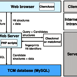 The infrastructure of the TCM database.