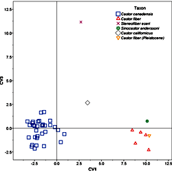 Plot of the first and third canonical variate scores.