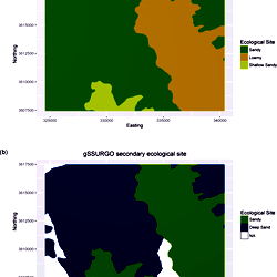 gSSURGO maps of ecological sites.