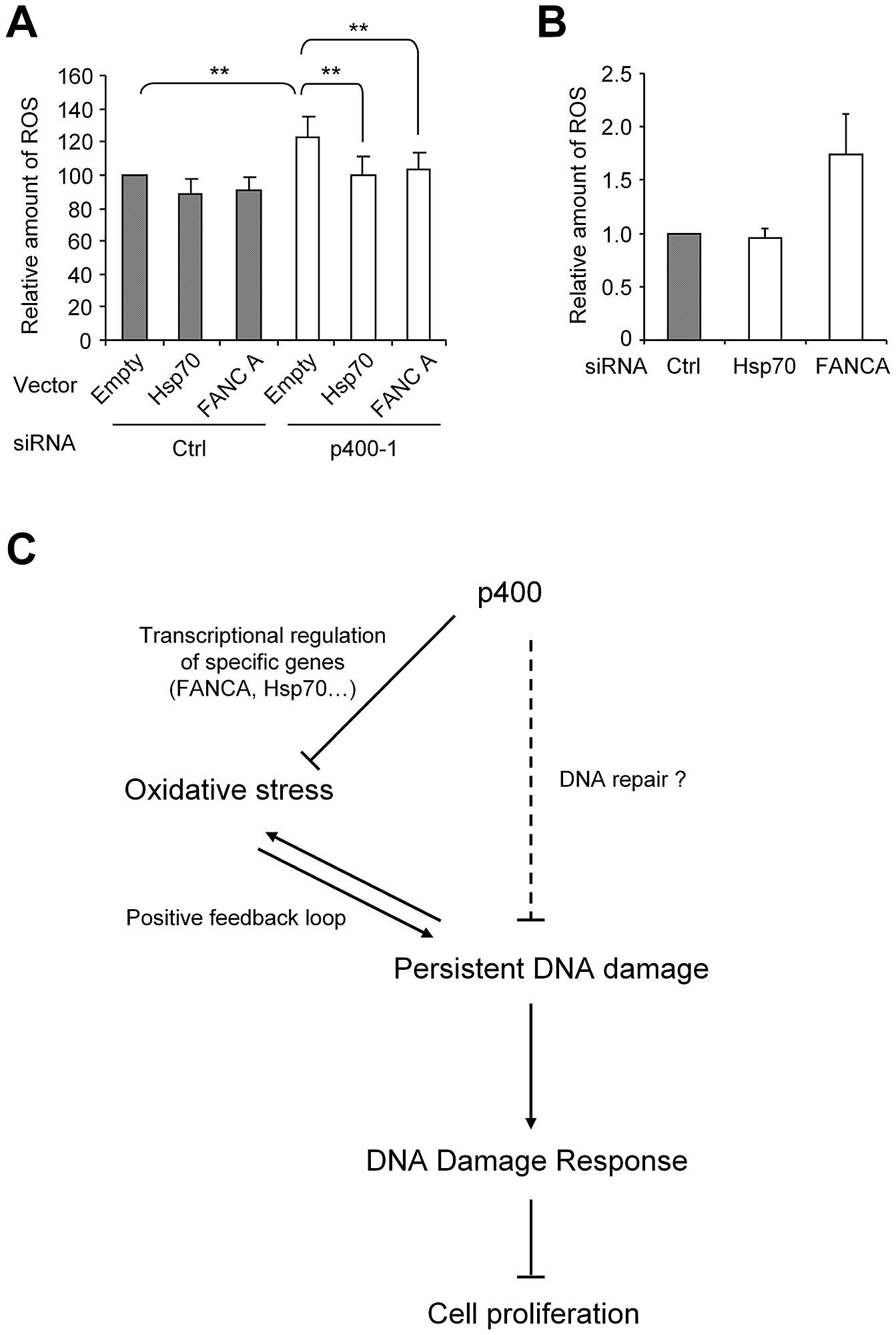 figshare