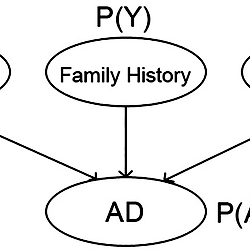 BN example.