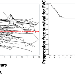 Evolution of FVC during the follow up.