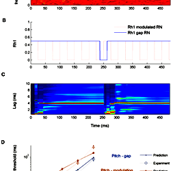 Comparison between human and model pitch-gap and pitch-modulation ...