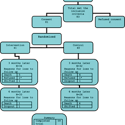 Dementia Trial Flow Chart