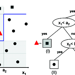 Binary Decision Tree
