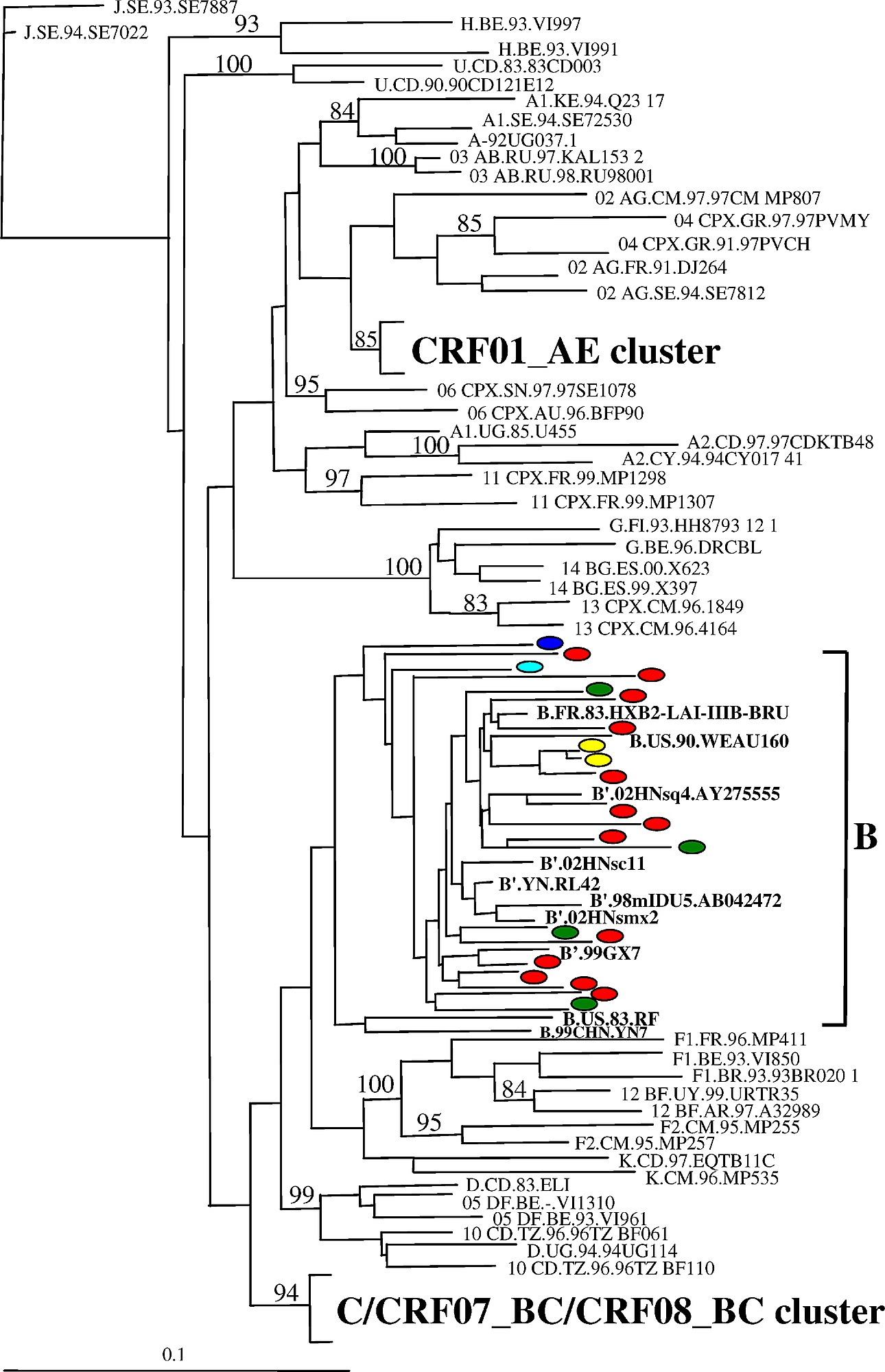 Phylogenetic Neighbor Joining Tree For Hiv 1 P17 Sequences Obtained From All 16 Prefectures Of Yunnan