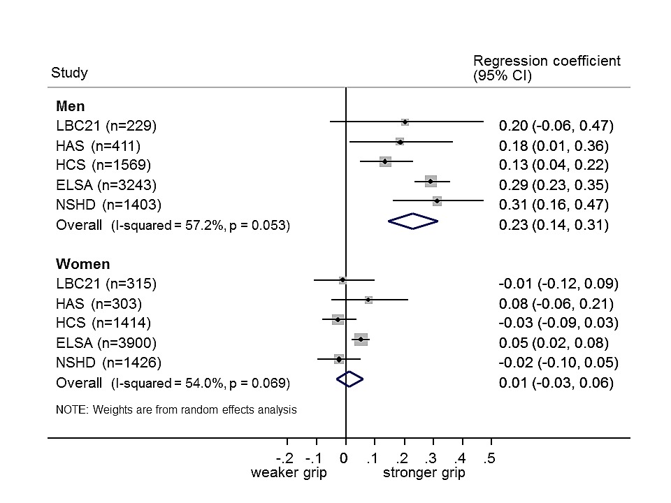 Body Mass Index Muscle Strength And Physical Performance In