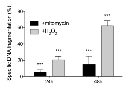 Label-Free Detection of Neuronal Differentiation in Cell Populations Using High-Throughput Live-Cell Imaging of PC12 Cells