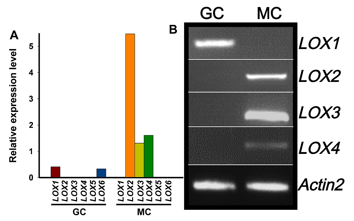 acid-independent oxylipin pathway controls stomatal closure and