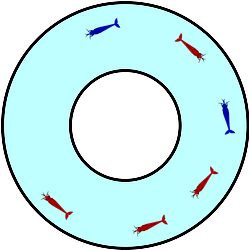 Schematic of the experimental setup.