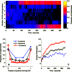 Large-scale behaviour of the experimental system.