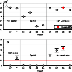 The performance of different models on the fine and large scale.