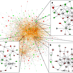 Ingenuity Pathway Analysis A Ingenuity Pathways With At Least Three