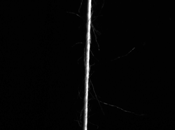 Yarn Spinning Dataset