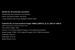 Animations of cross-sectional images of Cretaceous carbonate concretions from the Yezo Group, Japan