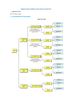 <b>DDS3 - Dataset of mosaic sputum smear microscopy images for evaluation of bacillus detection algorithms</b>