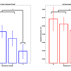 Pulse-Echo Ultrasound Murine In Vivo Acquisitions