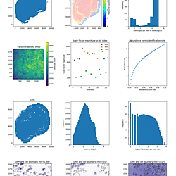Supporting data for: <b>Caspase-8 expression in CD8</b><sup><strong>+ </strong></sup><b>T cells promotes pathogen restriction in the brain during </b><b><i>Toxoplasma gondii</i></b><b> </b><b>infection</b> (MERFISH naive)