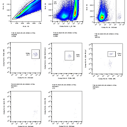 Supporting data for: <b>Caspase-8 expression in CD8</b><sup><strong>+ </strong></sup><b>T cells promotes pathogen restriction in the brain during </b><b><i>Toxoplasma gondii</i></b><b> </b><b>infection</b> (Casp8Ripk3 KO data)