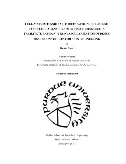 Cell-Matrix Tensional Forces Within Cell-Dense Type I Collagen Oligomer Tissue Constructs Facilitate Rapid In Vitro Vascularization of Dense Tissue Constructs for Skin Engineering
