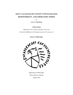 That's (Also) Racist! Entity Type Pluralism, Responsibility, and Liberatory Norms