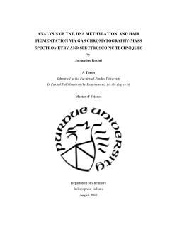 Analysis of TNT, DNA Methylation, and Hair Pigmentation via Gas Chromatography-Mass Spectrometry and Spectroscopic Techniques
