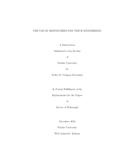 The Use of Biopolymers for Tissue Engineering