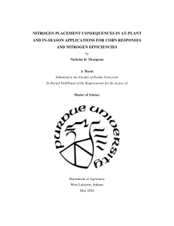 Nitrogen Placement Consequences in At-plant and In-season Applications for Corn Responses And Nitrogen Efficencies