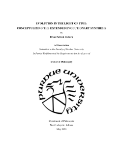 Evolution in the Light of Time: Conceptualizing the Extended Evolutionary Synthesis
