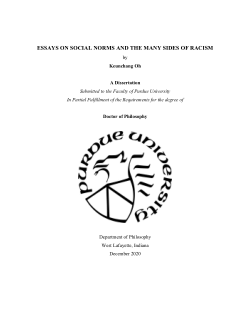 ESSAYS ON SOCIAL NORMS AND THE MANY SIDES OF RACISM