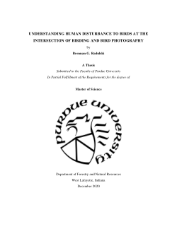 Understanding Human Disturbance to Birds at the Intersection of Birding and Bird Photography