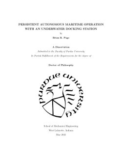 <b>Persistent Autonomous Maritime Operation with an Underwater Docking Station</b>