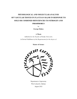 PHYSIOLOGICAL AND MOLECULAR ANALYSIS OF VASCULAR TISSUES IN PLANTAGO MAJOR IN RESPONSE TO SOLE OR COMBINED DEFICIENCIES TO NITROGEN AND PHOSPHORUS