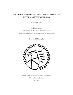 Network Utility Maximization Based on Information Freshness
