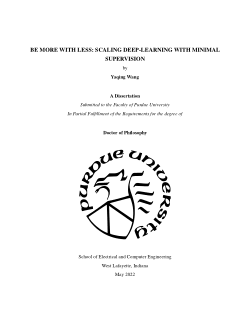 Be More with Less: Scaling Deep-learning with Minimal Supervision