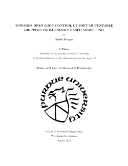 TOWARDS OPEN LOOP CONTROL OF SOFT MULTISTABLE GRIPPERS FROM ENERGY BASED MODELLING