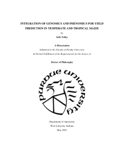 Integration of Genomics and Phenomics for Yield Prediction in Temperate and Tropical Maize