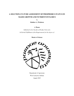 A SOLUTION-CULTURE ASSESSMENT OF PHOSPHORUS STATUS ON MAIZE GROWTH AND NUTRIENT DYNAMICS
