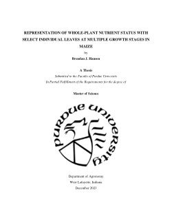 <b>Representation of whole-plant nutrient status with select individual leaves at multiple growth stages in maize</b><b> </b>