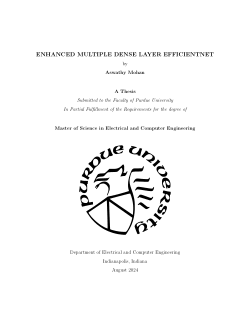 ENHANCED MULTIPLE DENSE LAYER EFFICIENTNET