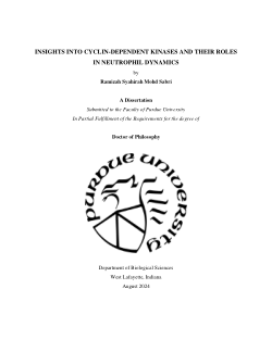 <b>Insights into cyclin-dependent kinases and their roles in neutrophil dynamics</b>