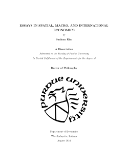 Essays in Spatial, Macro, and International Economics