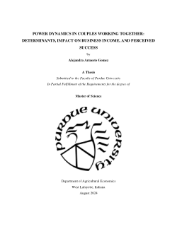 <b>P</b><b>OWER DYNAMICS IN COUPLES WORKING TOGETHER: DETERMINANTS, IMPACT ON BUSINESS INCOME, AND PERCEIVED SUCCESS</b>
