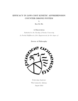 <b>EFFICACY IN LOW-COST KINETIC APPREHENSION COUNTER DRONE SYSTEM</b>