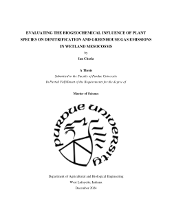 <b>EVALUATING THE BIOGEOCHEMICAL INFLUENCE OF PLANT SPECIES ON DENITRIFICATION AND GREENHOUSE GAS EMISSIONS IN WETLAND MESOCOSMS</b>