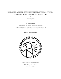 Building A More Efficient Mobile Vision System Through Adaptive Video Analytics
