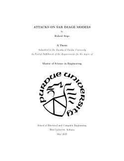 <b>ATTACKS ON SAR IMAGE MODELS</b>