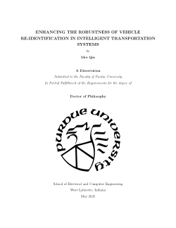 Enhancing the Robustness of Vehicle Re-Identification in Intelligent Transportation Systems