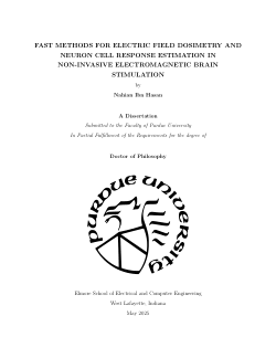 FAST METHODS FOR ELECTRIC FIELD DOSIMETRY AND NEURON CELL RESPONSE ESTIMATION IN NON-INVASIVE ELECTROMAGNETIC BRAIN STIMULATION