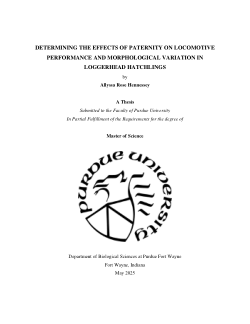 <b>DETERMINING THE EFFECTS OF PATERNITY ON LOCOMOTIVE PERFORMANCE AND MORPHOLOGICAL VARIATION IN LOGGERHEAD HATCHLINGS</b>